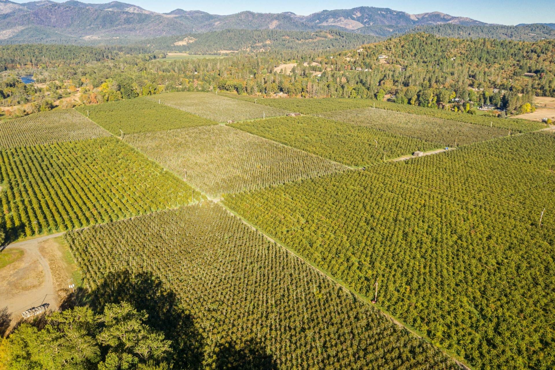 Christie Orchard Orchards For Sale Martin Outdoor Property Group