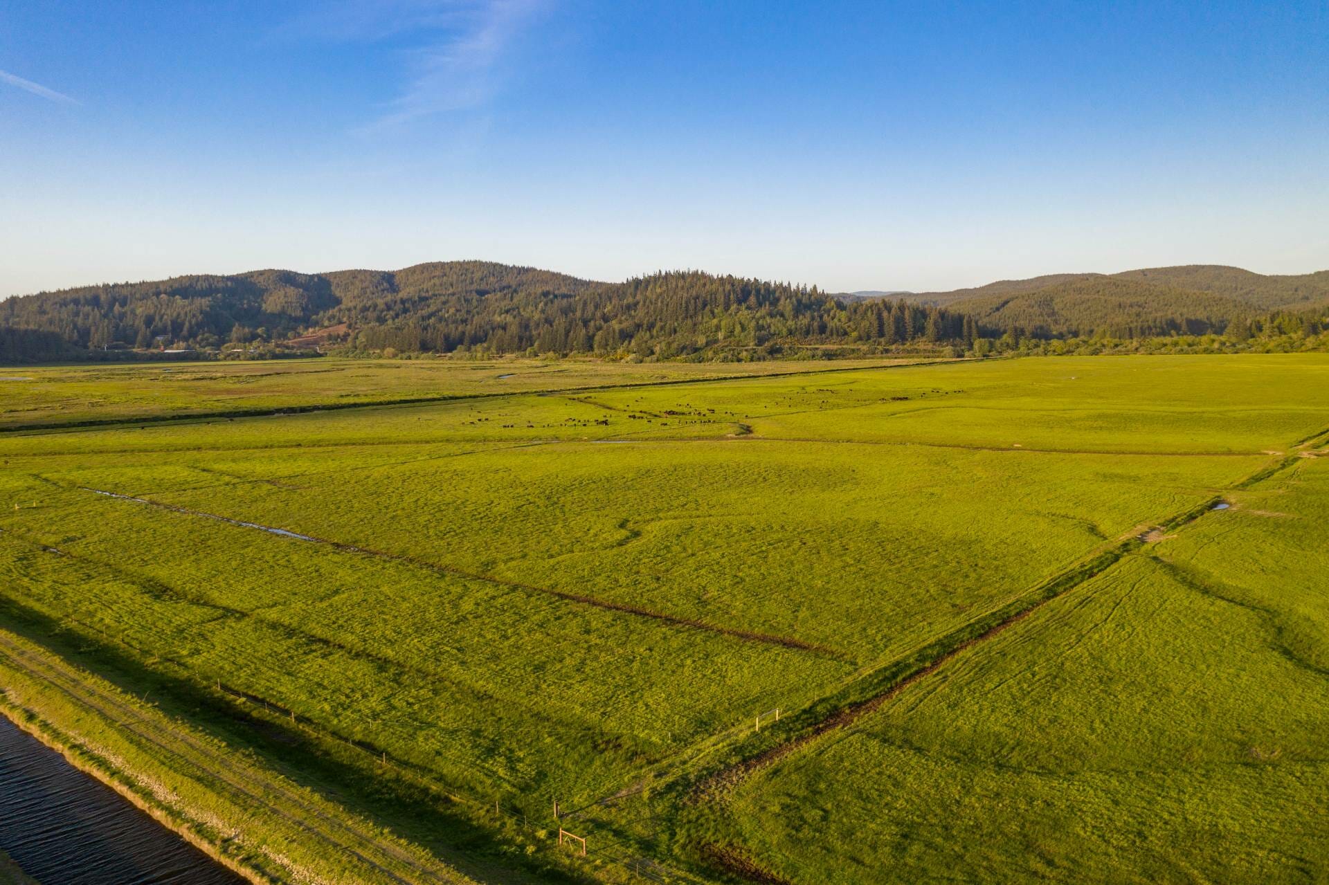 Coquille River Farm Ground Farms For Sale Martin Outdoor Property Group