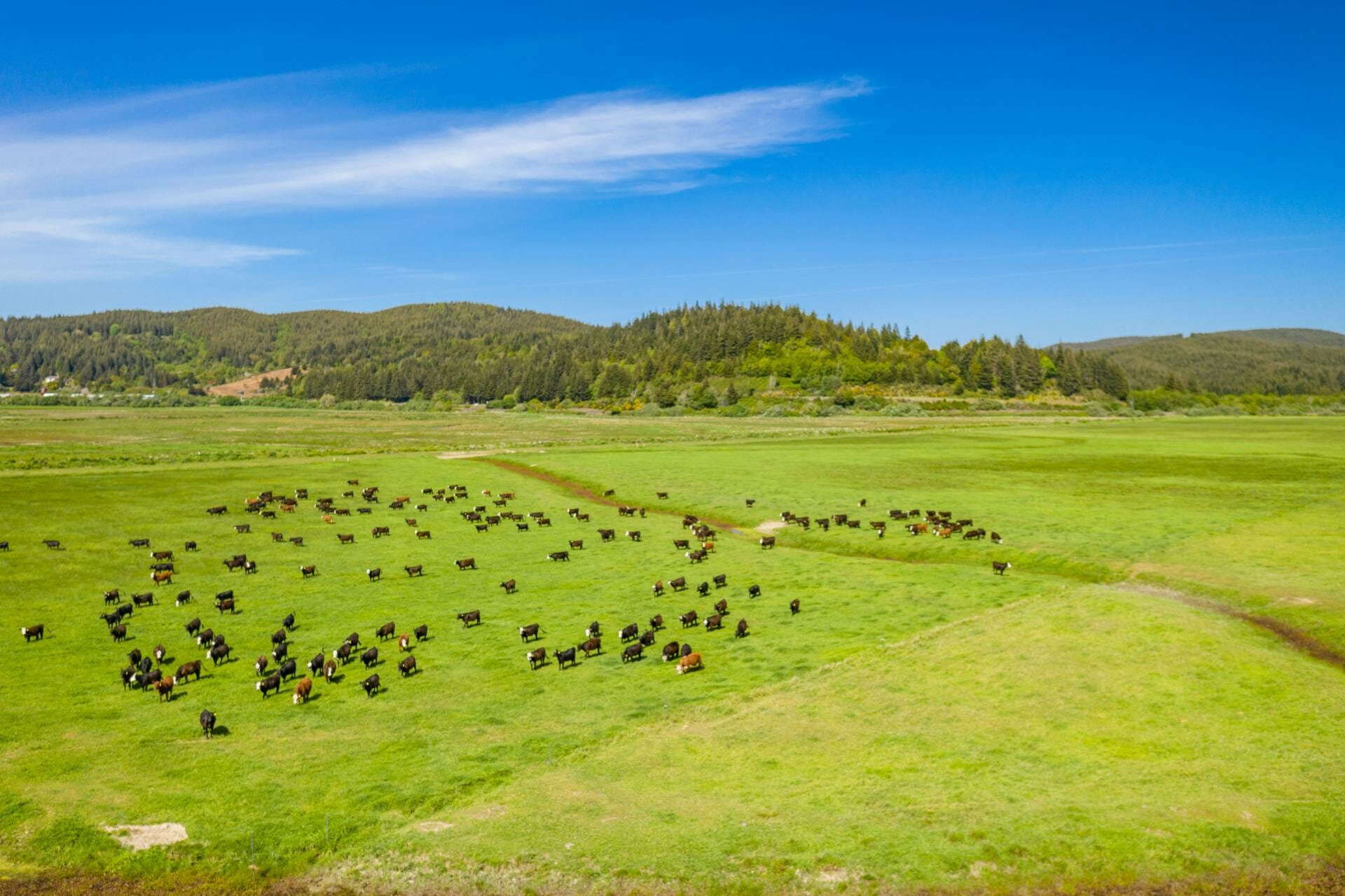 Coquille River Farm Ground Farms For Sale Martin Outdoor Property Group
