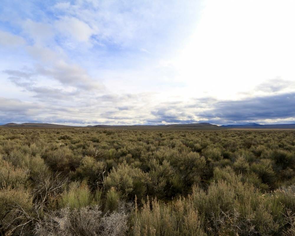 Casad Lane, 20Acres In Christmas Valley Land For Sale Martin