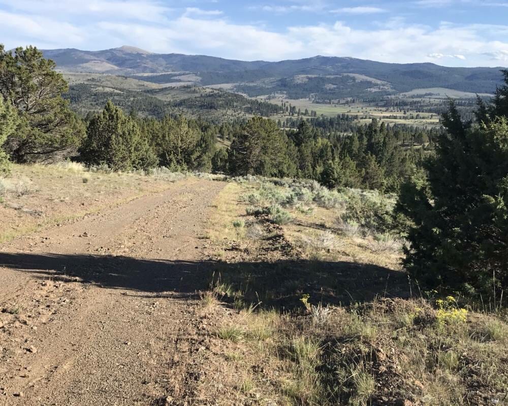 Sunshine Ridge 40 Acres Land For Sale Martin Outdoor Property Group