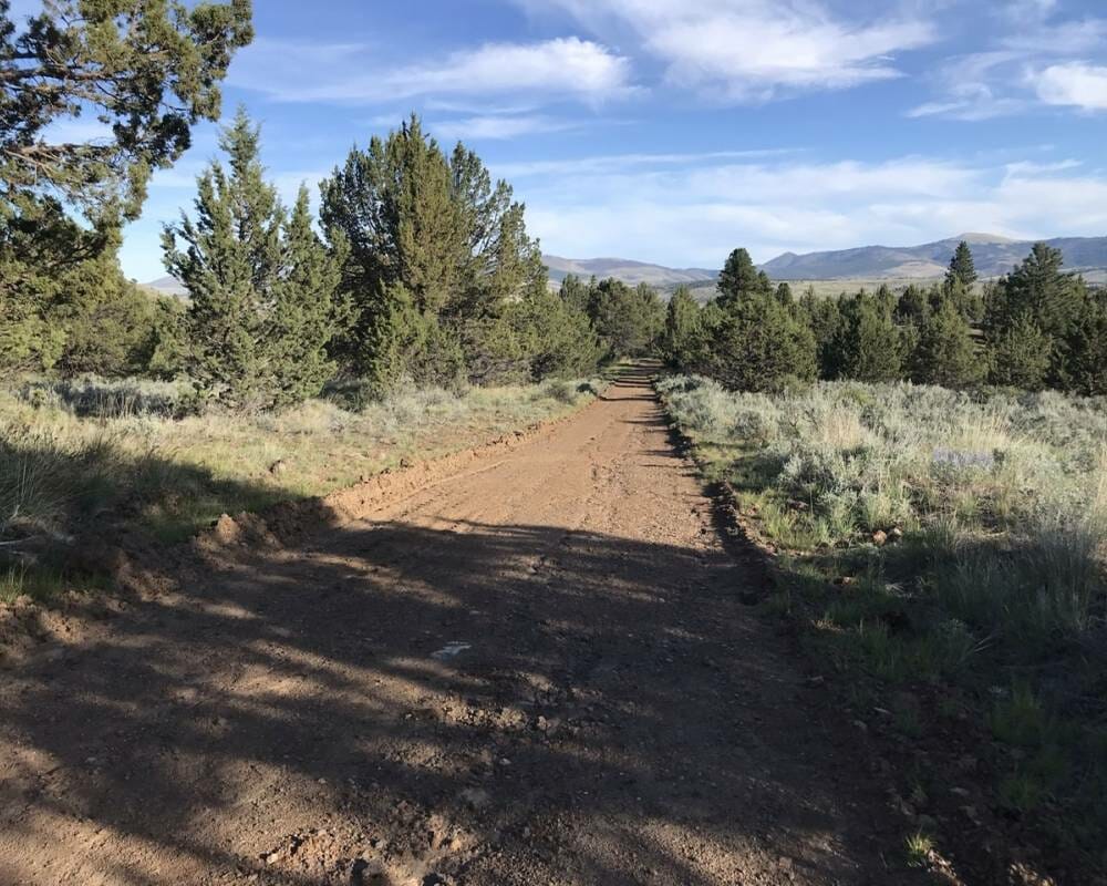 Sunshine Ridge 40 Acres Land For Sale Martin Outdoor Property Group