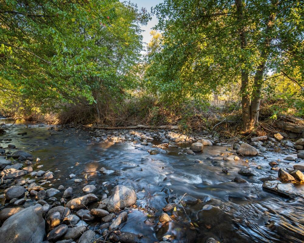 Ashland Land For Sale Martin Outdoor Property Group