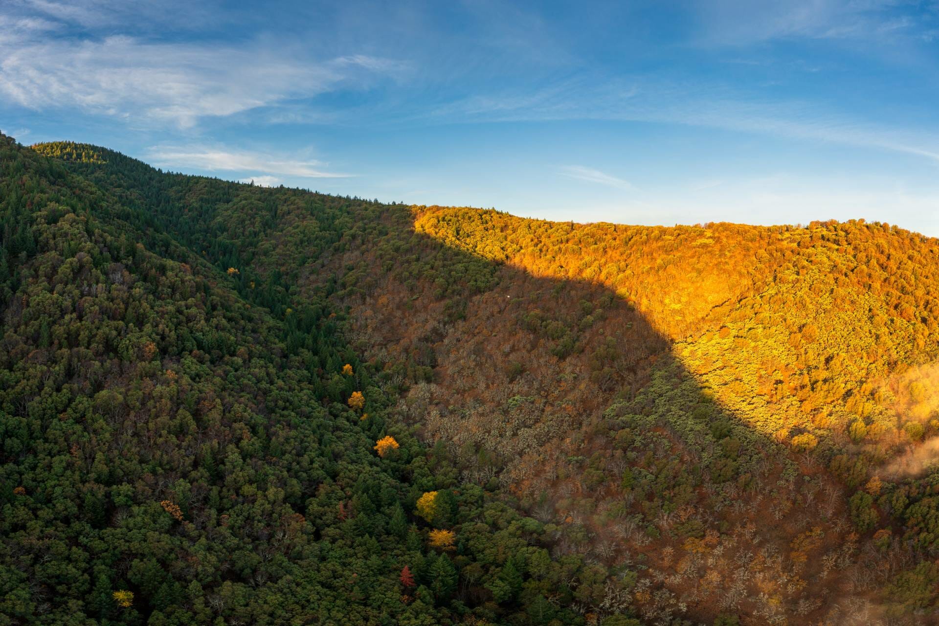 Madrone Ridge Ranch & Development Ranches For Sale Martin Outdoor Property Group