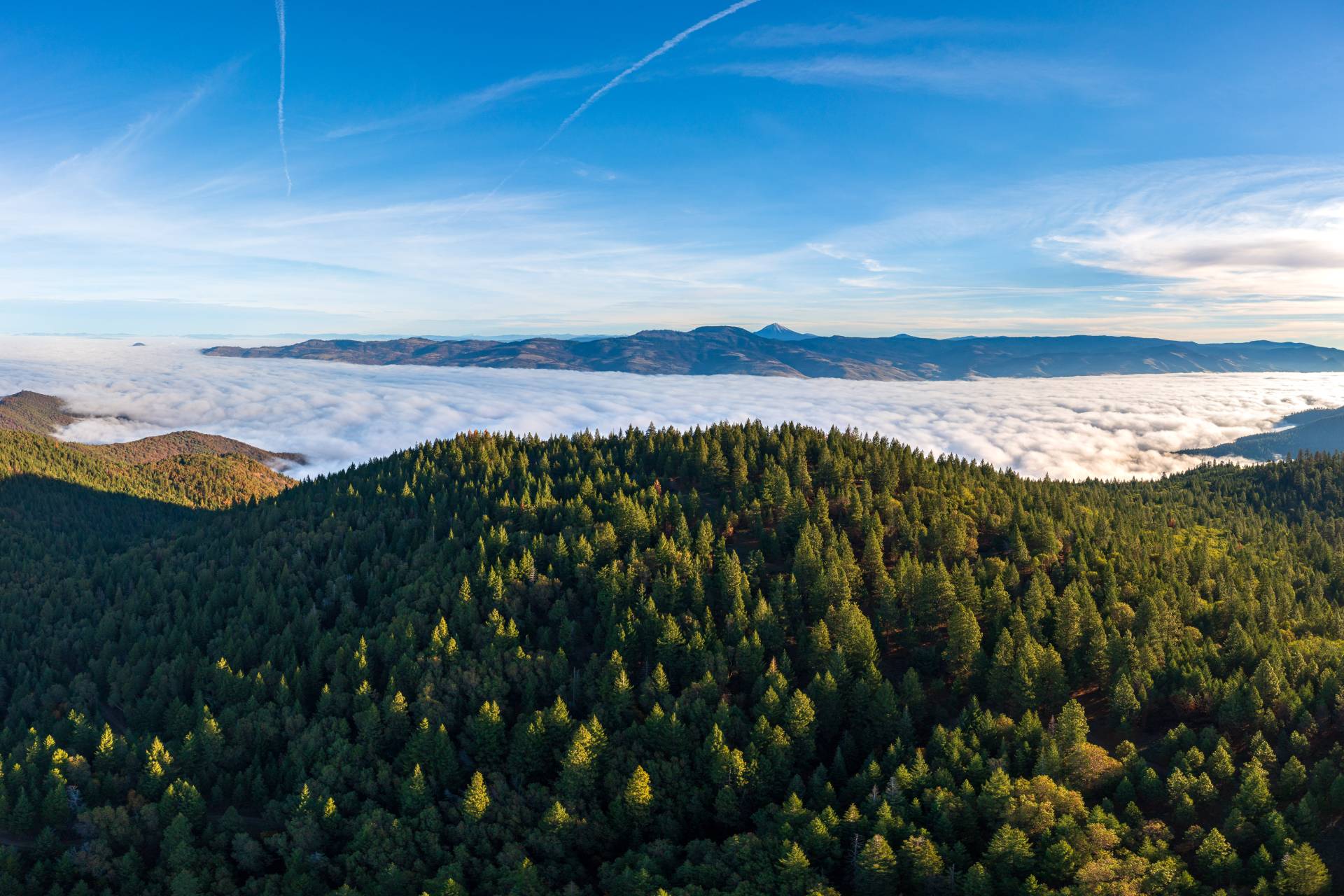 Madrone Ridge Ranch & Development Ranches For Sale Martin Outdoor Property Group