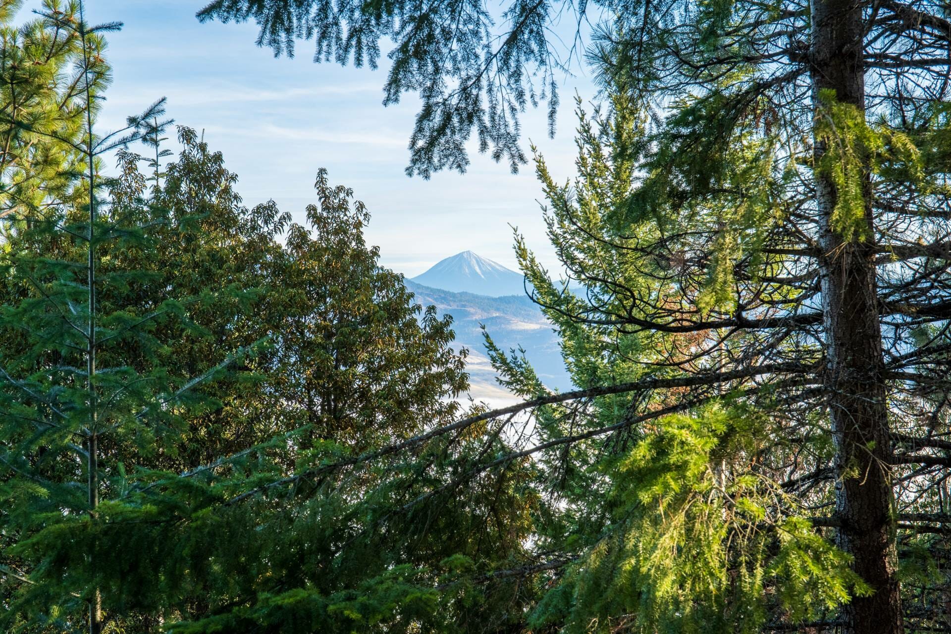 Madrone Ridge Ranch & Development Ranches For Sale Martin Outdoor Property Group