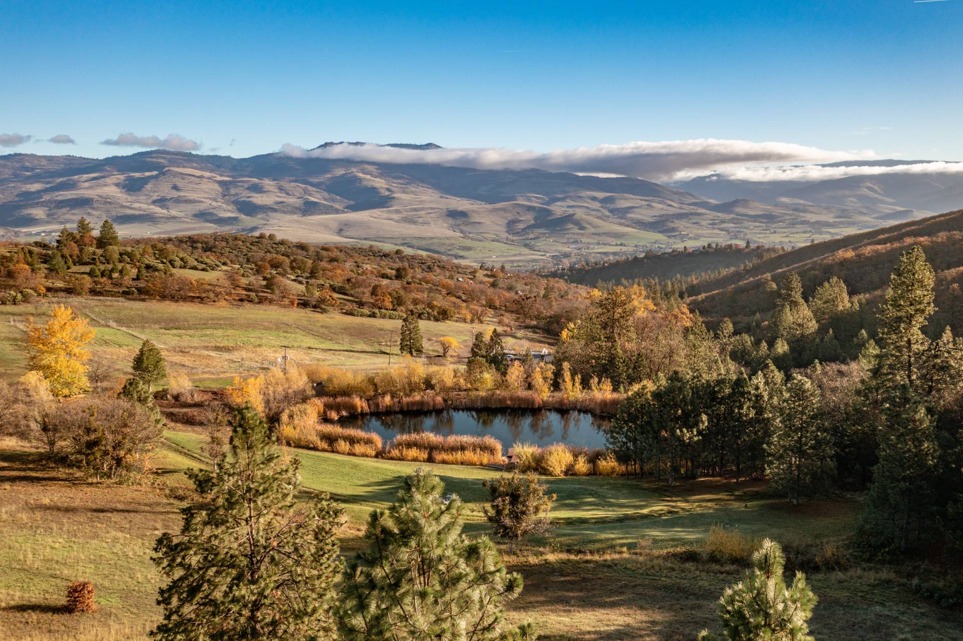 Madrone Ridge Ranch & Development Ranches For Sale Martin Outdoor Property Group