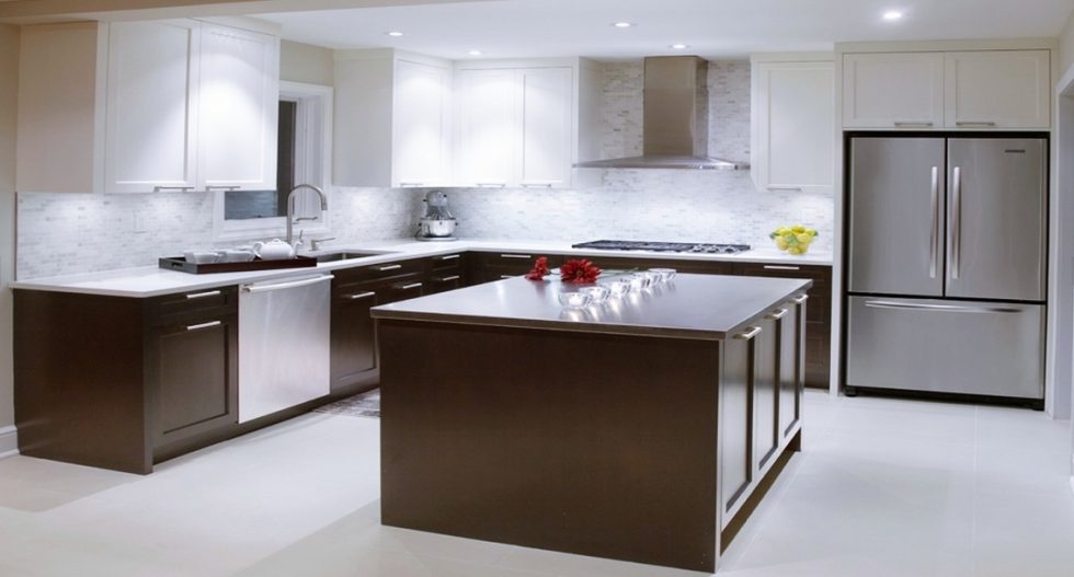 TRANSITIONAL MARTINS KITCHENS