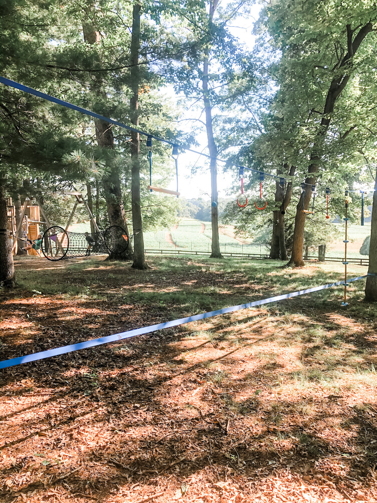 Summer Camps Martin's Tree Farm Activity Center