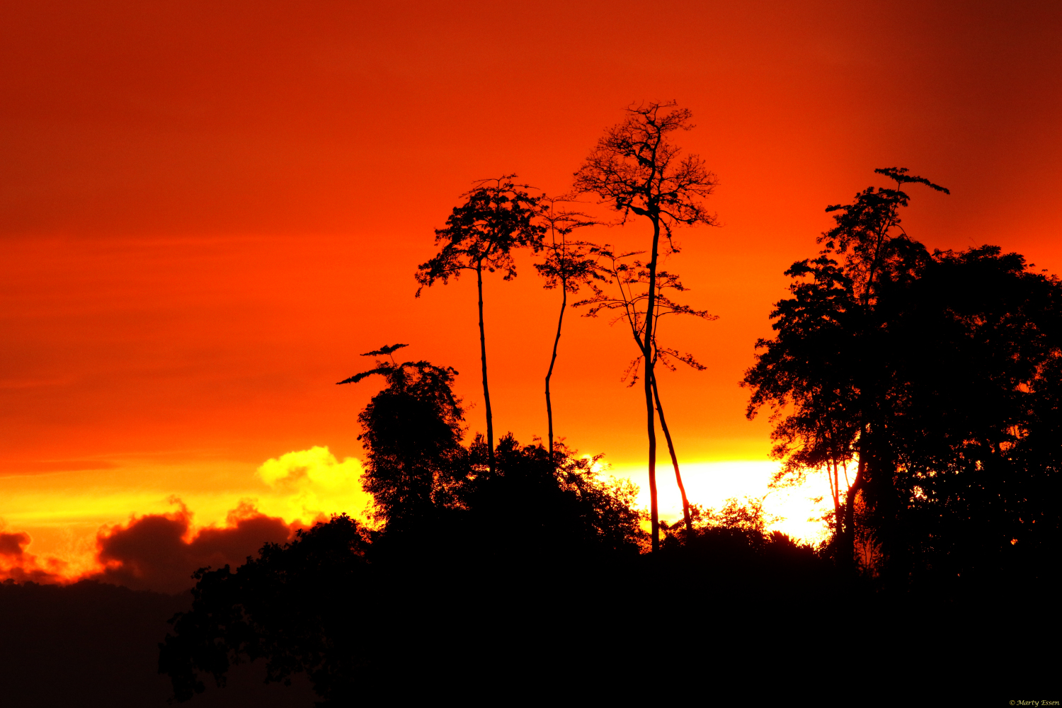 Sunset in Costa Rica Around the World with Marty Essen