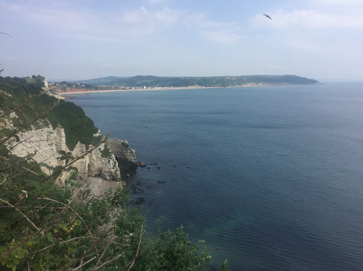 Kayaking in Exeter to my Life