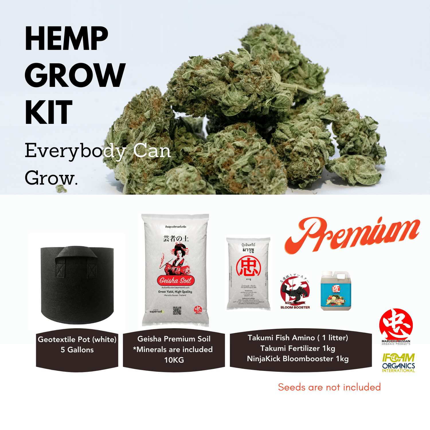 Hemp Grow Kit by Maruchu Bussan, Chiang Mai, Thailand