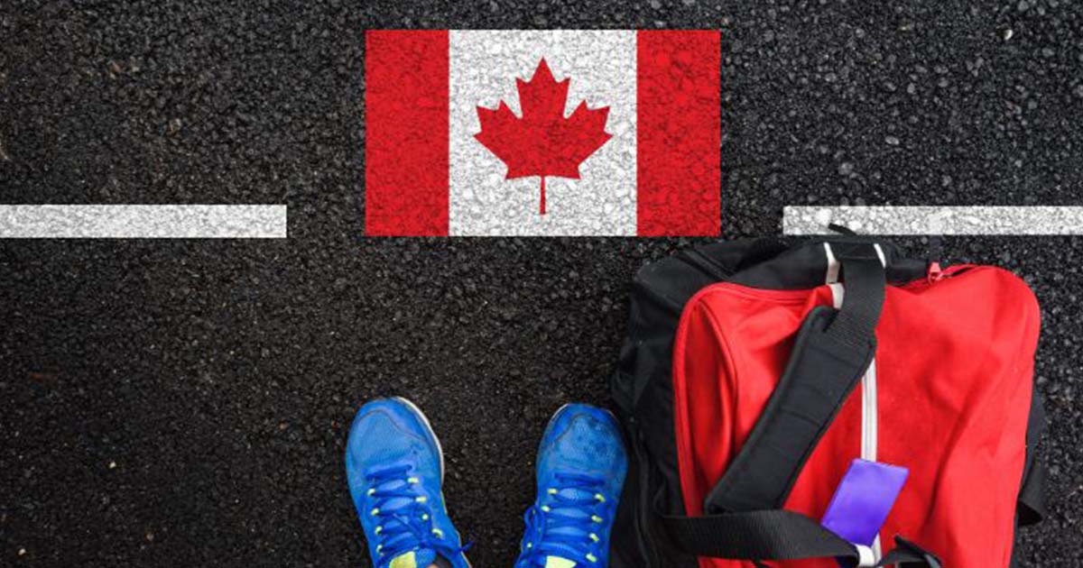 Is the Airbnb Business Profitable in Canada? Marvelous Host