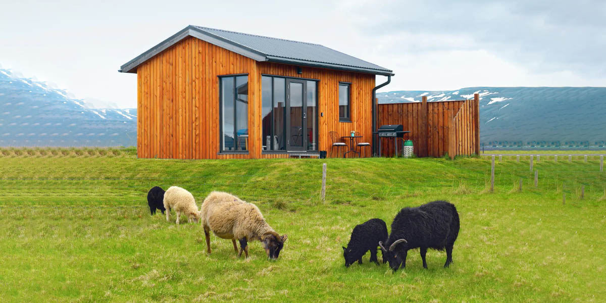 Airbnb Farm Stay Unveiling Rural Bliss