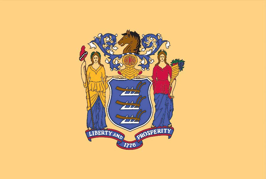 4' x 6' New Jersey Flag Marvin Display