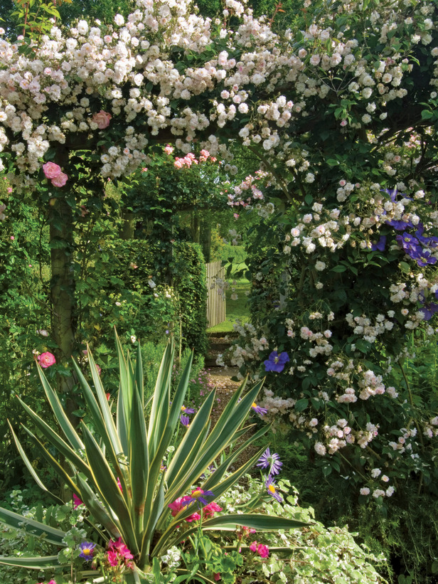 pergola