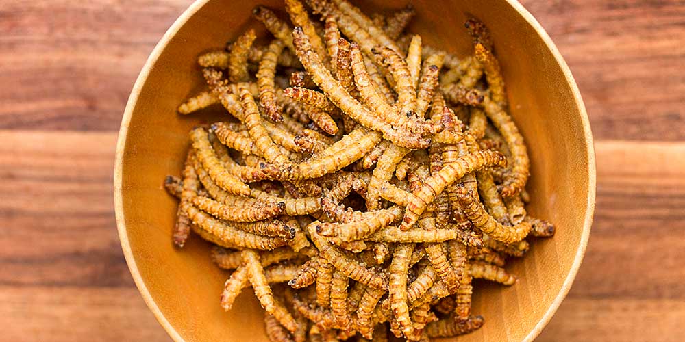 Cumin Spiced Beetle Larvae Marx Foods Blog
