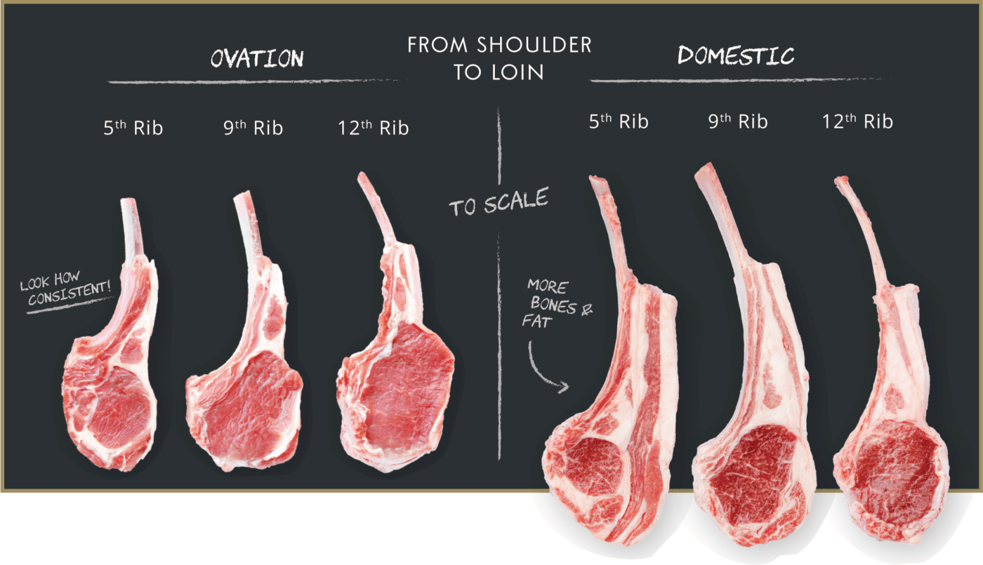 Ovation Lamb Chop Comparison Marx Foodservice