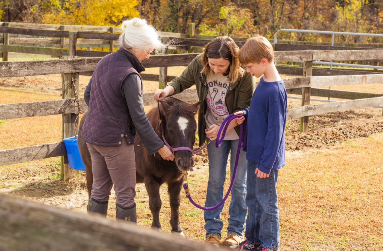 Rose of Sharon Equestrian School Volunteer Opportunities Maryland