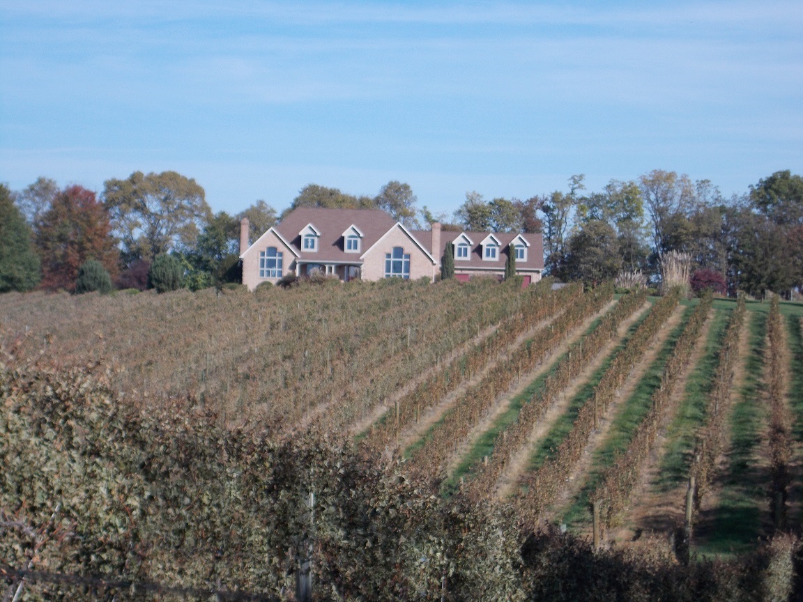 Cool Ridge Vineyard Maryland Wineries Association