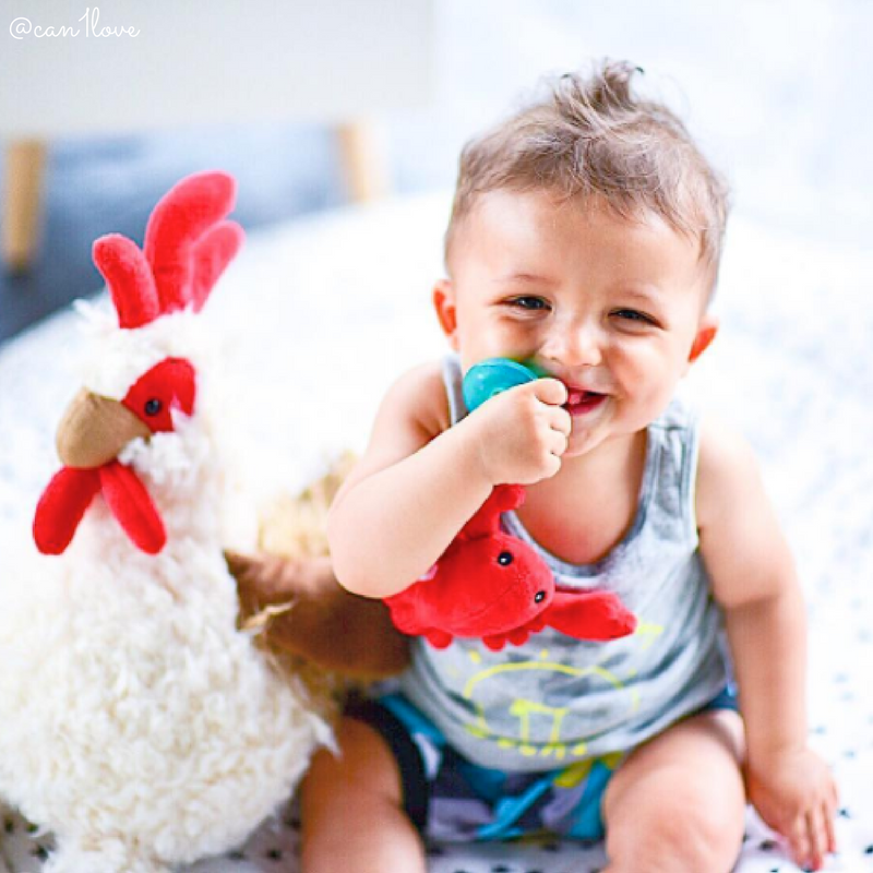 Lobbie Lobster WubbaNub Pacifier 6″ Mary Meyer Stuffed Toys