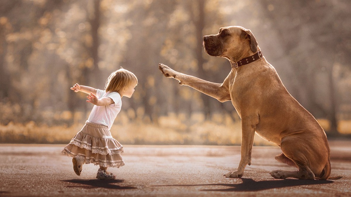 Why Do Big Dogs Live Less Than Small Ones?