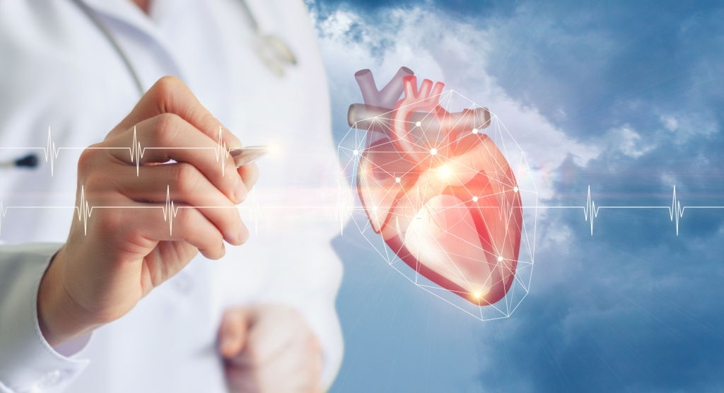 Heart Health Check up Marzouk Labs