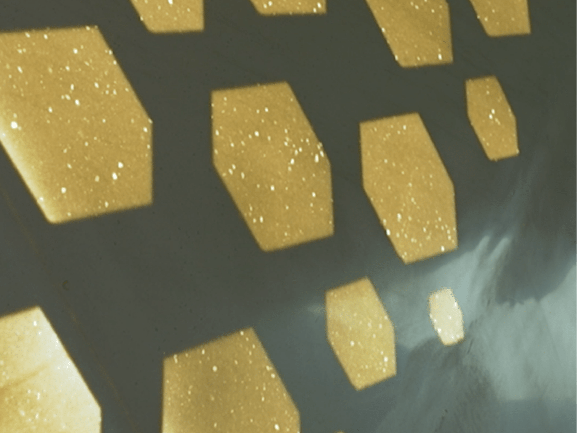 Dental Care Clinic Dental Health Care Services in Fujairah