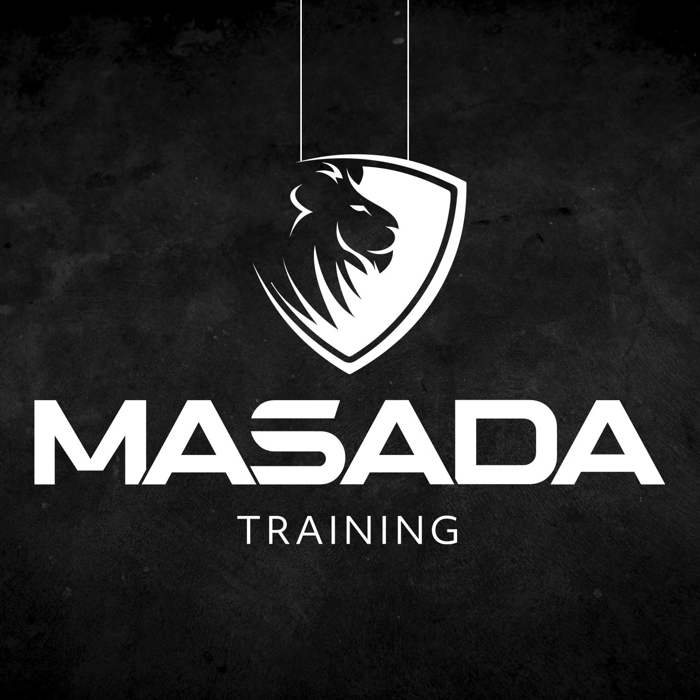 From Street Defense to Global Phenomenon The Evolution of Krav Maga