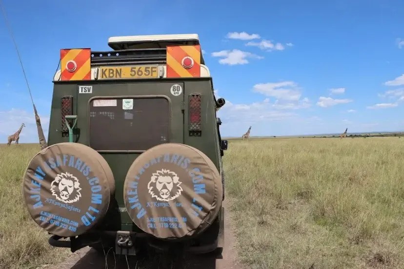 Masai Mara Trip Cost Packages, Travel Tips & More