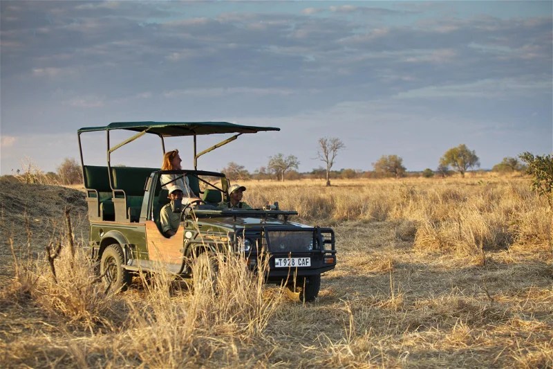 Masai Mara National Reserve Safari Packages, Cost & More
