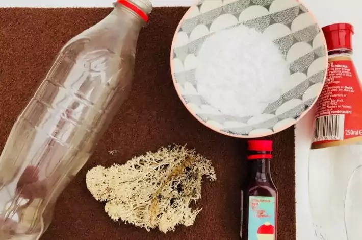 Make your own erupting volcano experiment Learning Fun