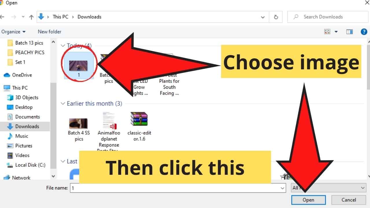 How To Download Pics in Good Quality (300 DPI) from Canva