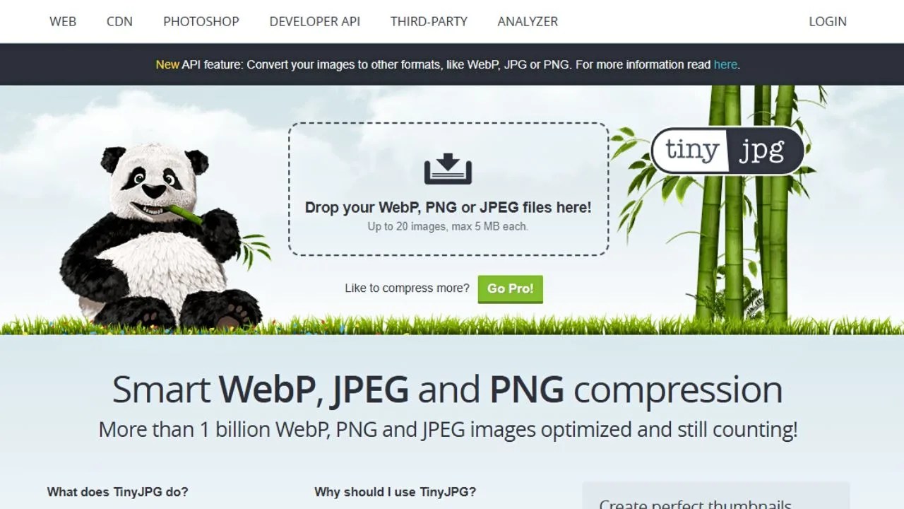 How to Reduce the File Size in Canva in 4 Easy Steps