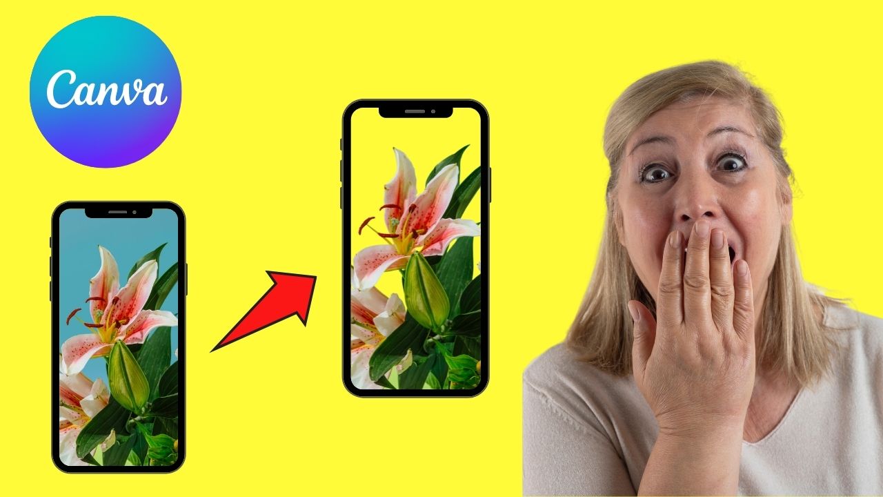 How to Remove the Background on Canva Mobile — Quick Guide