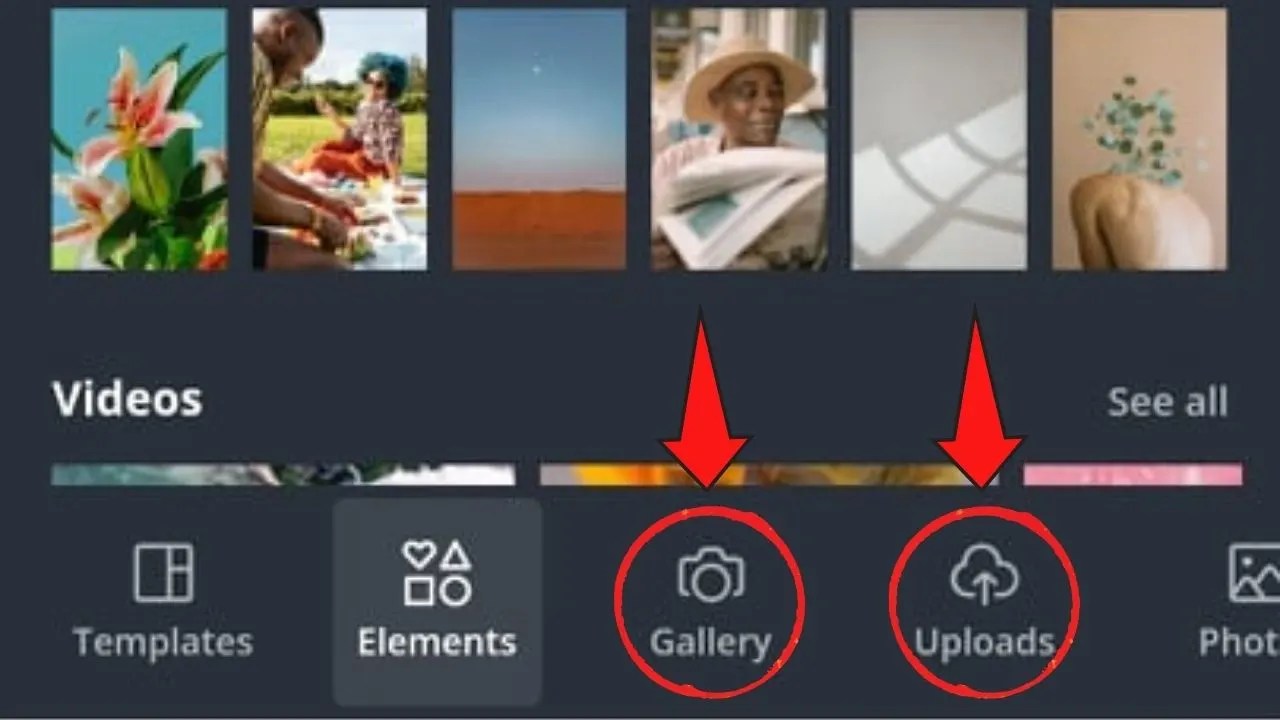 Hướng dẫn delete background on canva bằng công cụ Background Remover