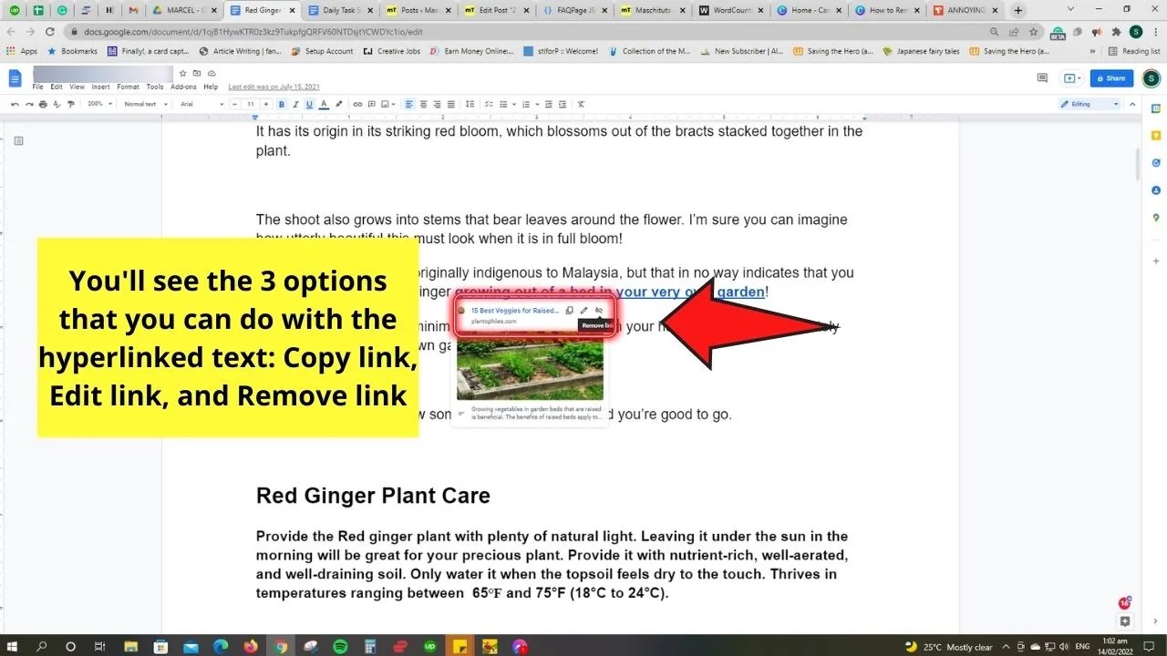 The 2 Best Methods to Remove a Hyperlink in Google Docs