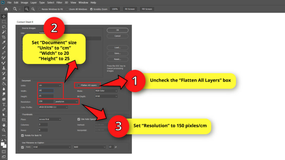 Creating a Contact Sheet in — The Complete Guide