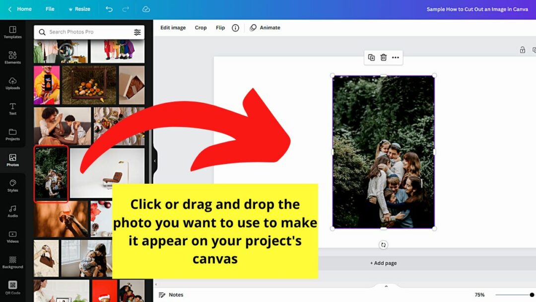 How to Cut Out an Image in Canva — Like a Pro