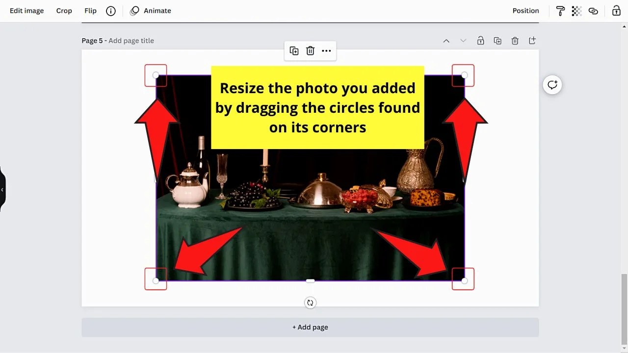 The 4 Best Methods to Fade an Image in Canva