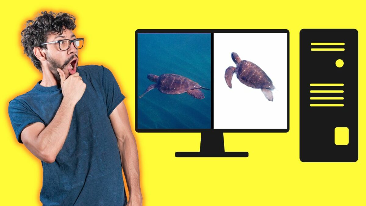 The 2 Best Ways to Know the Size in Canva