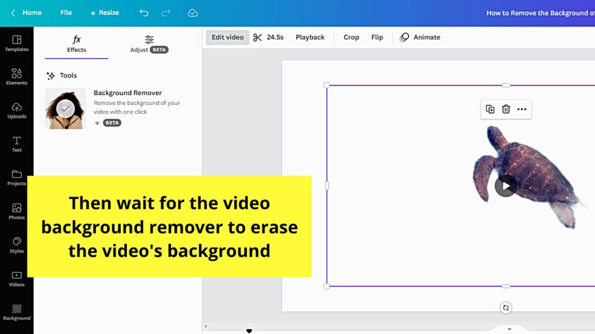How to Quickly Remove the Background of a Video in Canva