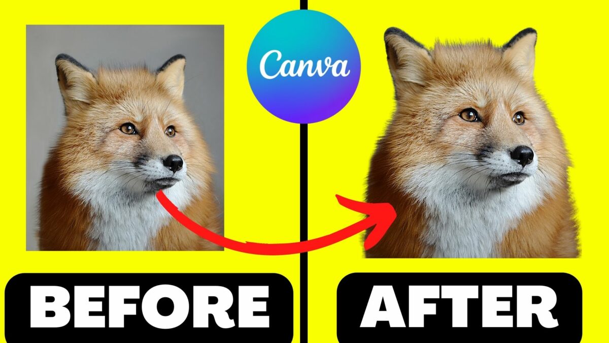 How to Cut Out an Image in Canva — Like a Pro