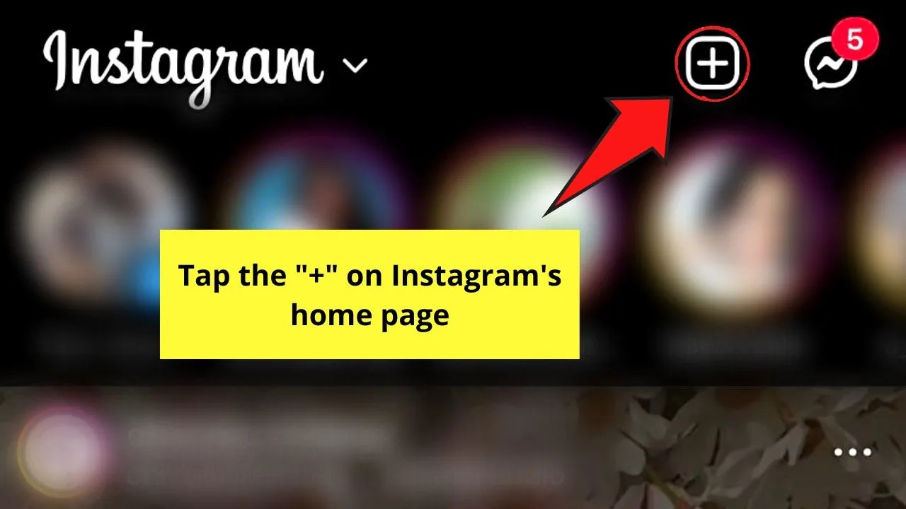 How to Fit the Whole Pic on Instagram — The Answer
