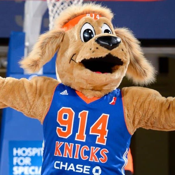 Hudson Knickerbocker Mascot Hall of Fame