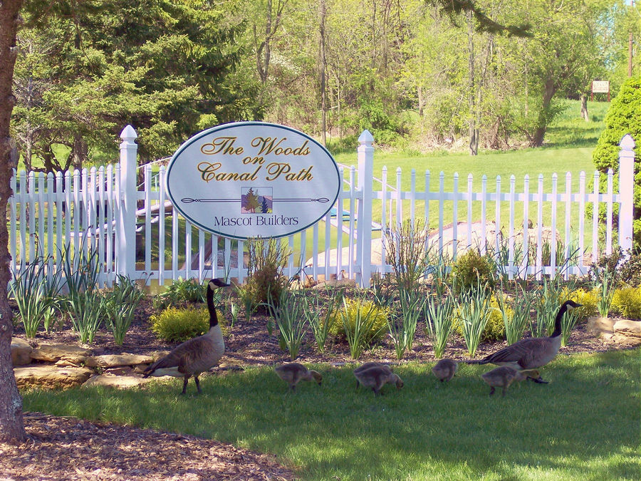 Mascot Inc, General Contractor Unwavering Commitment and Passion for