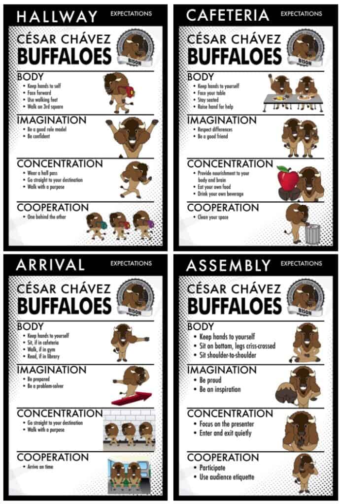 Rulesposterbison Mascot Junction