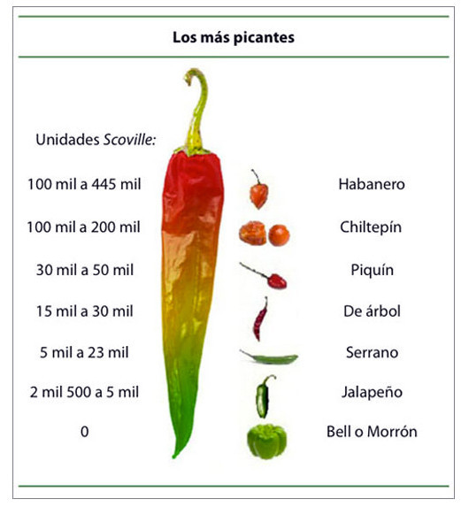 Estos son los 10 chiles más picantes de México Más de México