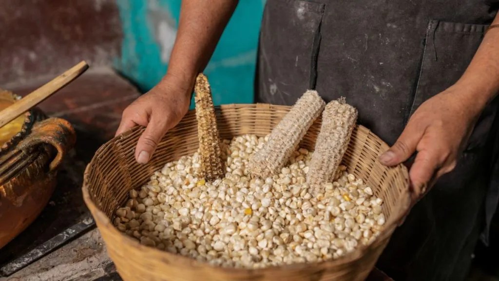 ¿Cómo hacer el nixtamal? una sencilla guía paso a paso Más de México