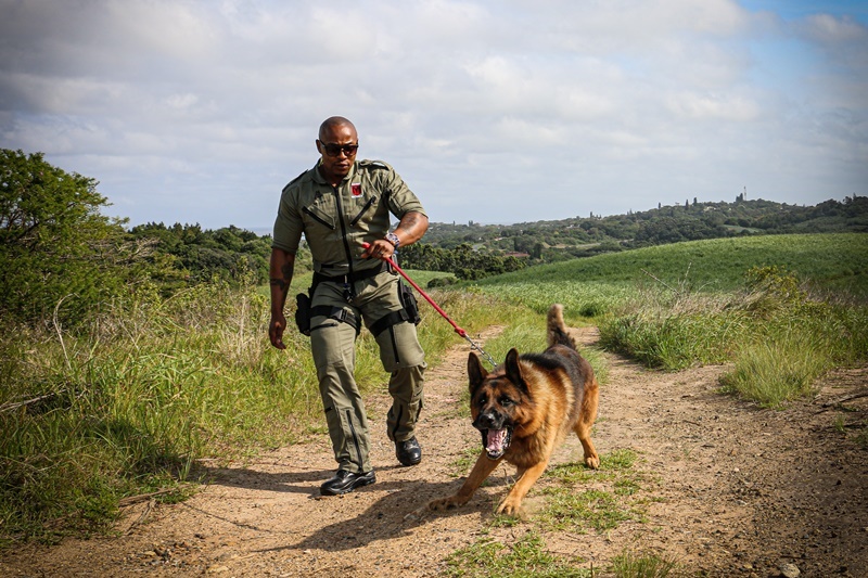 K9 Security & Criminal Tracking Services Maser Security